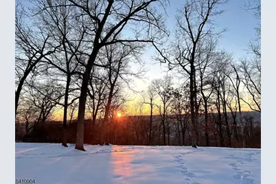 81 Huron Dr, Chatham Township, NJ 07928 - Photo 23