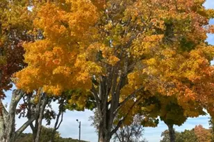 1 Beaver Terrace, Jefferson Township, NJ 07885 - Photo 43