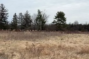 23 Coddington Rd, Readington, NJ 08889 - Photo 5