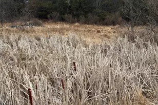 23 Coddington Rd, Readington, NJ 08889 - Photo 7