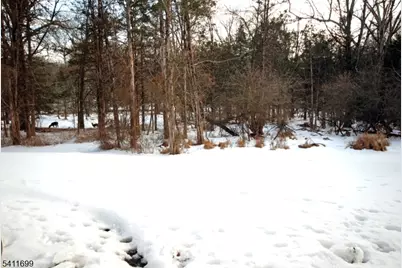 1418 Magnolia Ln Ondo, Branchburg Township, NJ 08876 - Photo 21