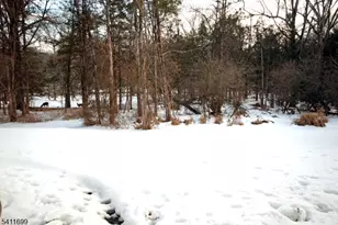 1418 Magnolia Ln Ondo, Branchburg Township, NJ 08876 - Photo 21