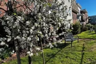 1002 Unicorn Way, Clifton, NJ 07011 - Photo 15