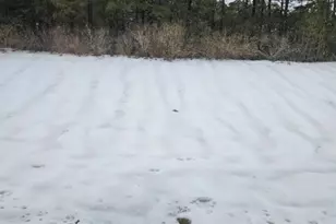 10 Cedar Ave, Stafford Township, NJ 08050 - Photo 7