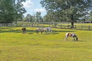 60 Perryville Rd, Union Township, NJ 08867 - Photo 43