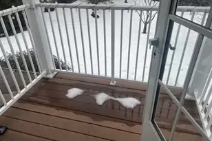 263 Old Farm Dr, Allamuchy Township, NJ 07838 - Photo 23