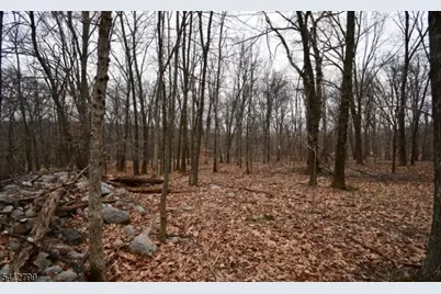 2 Brook Dr, Blairstown Township, NJ 07825 - Photo 3