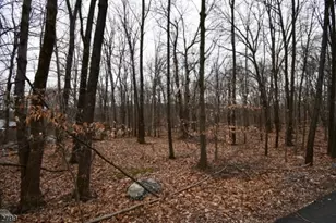 2 Brook Dr, Blairstown Township, NJ 07825 - Photo 1