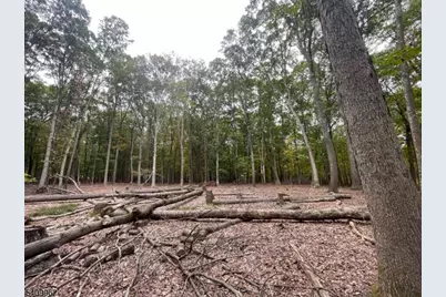 924 Middleville Rd, Stillwater, NJ 07860 - Photo 7