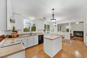 45 Van Zandt Dr, Hillsborough Township, NJ 08844 - Photo 9