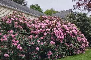 427 State Route 94, Fredon Township, NJ 07860 - Photo 3