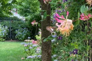 646 Forest Ave, Westfield, NJ 07090 - Photo 33