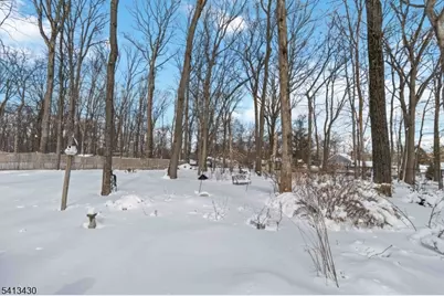 10 Forrest Rd, Randolph Township, NJ 07869 - Photo 33