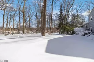 10 Forrest Rd, Randolph Township, NJ 07869 - Photo 35