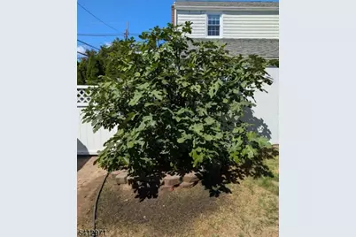 612 Passaic Ave, Nutley, NJ 07110 - Photo 29