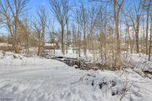 15 Winding Brook Way, Rockaway Township, NJ 07866 - Photo 19