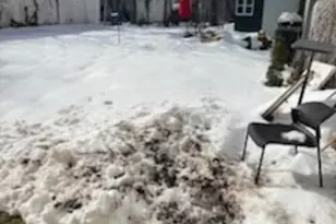 295 Halsted St, East Orange, NJ 07018 - Photo 9