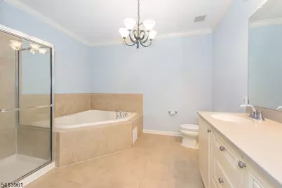 29 Ridgeview Lane #29, Mount Arlington, NJ 07856 - Photo 9