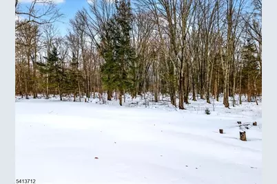 11 Milltown Rd, Kingwood Township, NJ 08559 - Photo 37