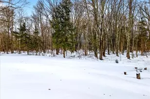 11 Milltown Rd, Kingwood Township, NJ 08559 - Photo 37