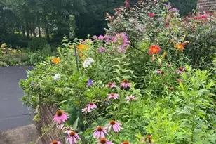 327 Mountain Lake Rd, Liberty Township, NJ 07838 - Photo 47