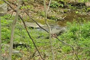 20 Wishing Well Rd, Blairstown Township, NJ 07832 - Photo 3