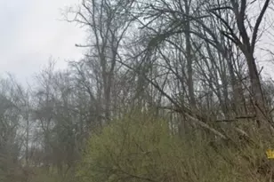 75 Unionville Rd, Wantage, NJ 07461 - Photo 1