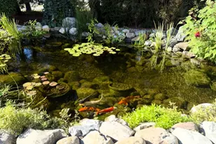 41 Springfield Ave, Summit, NJ 07901 - Photo 17