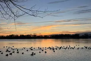 15 Glassboro Rd, Parsippany, NJ 07054 - Photo 37