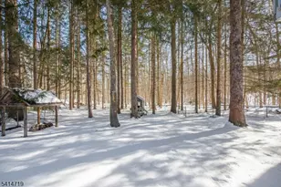 181 Center Grove Rd, Randolph Township, NJ 07869 - Photo 43