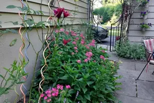 645 Roosevelt St, Westfield, NJ 07090 - Photo 25