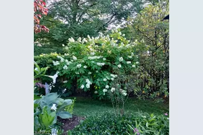 645 Roosevelt St, Westfield, NJ 07090 - Photo 23