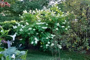 645 Roosevelt St, Westfield, NJ 07090 - Photo 23