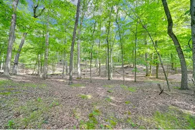 51 Paulinskill Lake Rd, Fredon Township, NJ 07860 - Photo 5