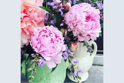 398 Grove St, Montclair, NJ 07043 - Photo 37