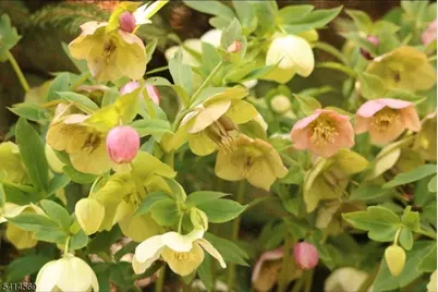 398 Grove St, Montclair, NJ 07043 - Photo 35