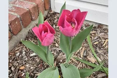 21 Slope Dr, Mansfield Township, NJ 07840 - Photo 37