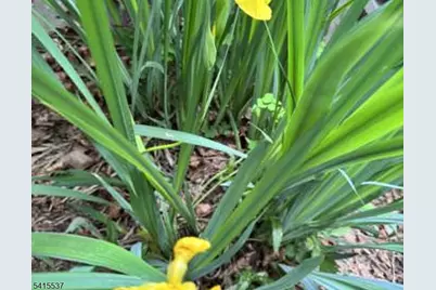 21 Slope Dr, Mansfield Township, NJ 07840 - Photo 35