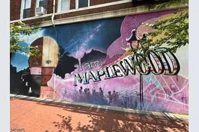 25 Burnett Ter, Maplewood, NJ 07040 - Photo 49