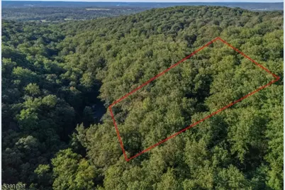 00 Sweet Hollow Road, Holland Township, NJ 08848 - Photo 5