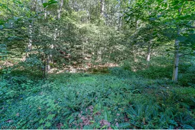 00 Sweet Hollow Road, Holland Township, NJ 08848 - Photo 3