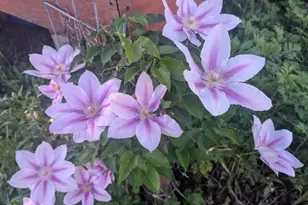 156 Lott Rd, Wantage, NJ 07461 - Photo 39