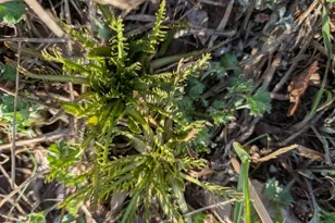 156 Lott Rd, Wantage, NJ 07461 - Photo 43