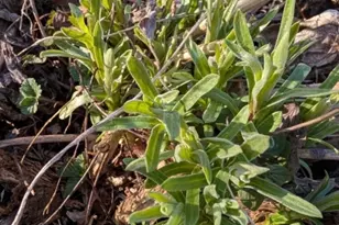 156 Lott Rd, Wantage, NJ 07461 - Photo 41