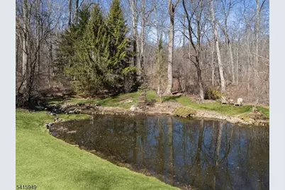 7 Robin Ct, Chester, NJ 07930 - Photo 37