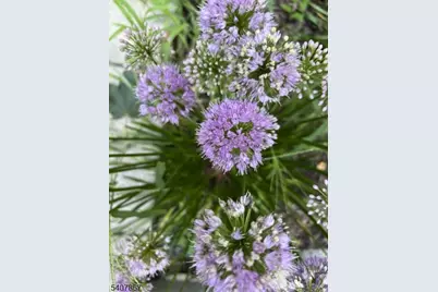 51-53 Durand Rd, Maplewood, NJ 07040 - Photo 47