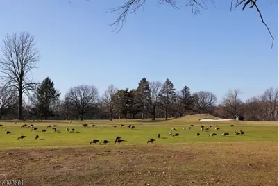 154 Dayton St, Newark, NJ 07114 - Photo 29