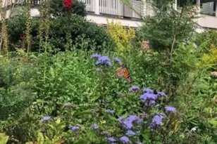 391 Up Mountain Ave, Montclair, NJ 07043 - Photo 49