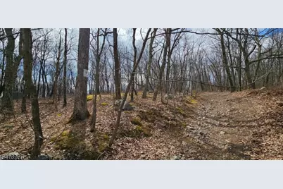 00 Upper Hibernia Rd, Rockaway Township, NJ 07866 - Photo 13