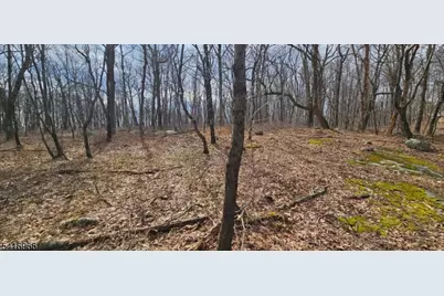 00 Upper Hibernia Rd, Rockaway Township, NJ 07866 - Photo 7